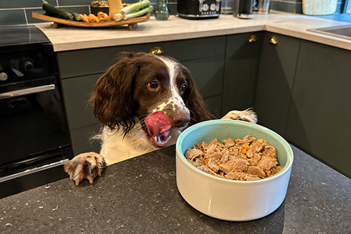 FIDELIS Hundefutter