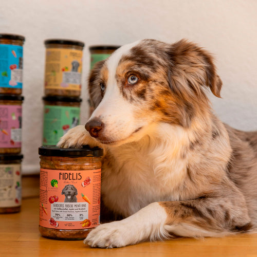 FIDELIS Hundefutter