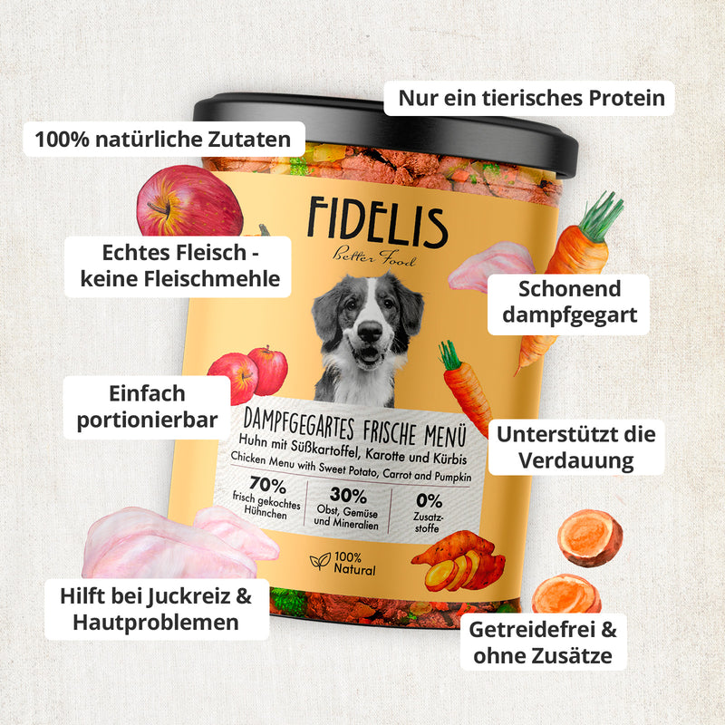 Fidelis Bild 1