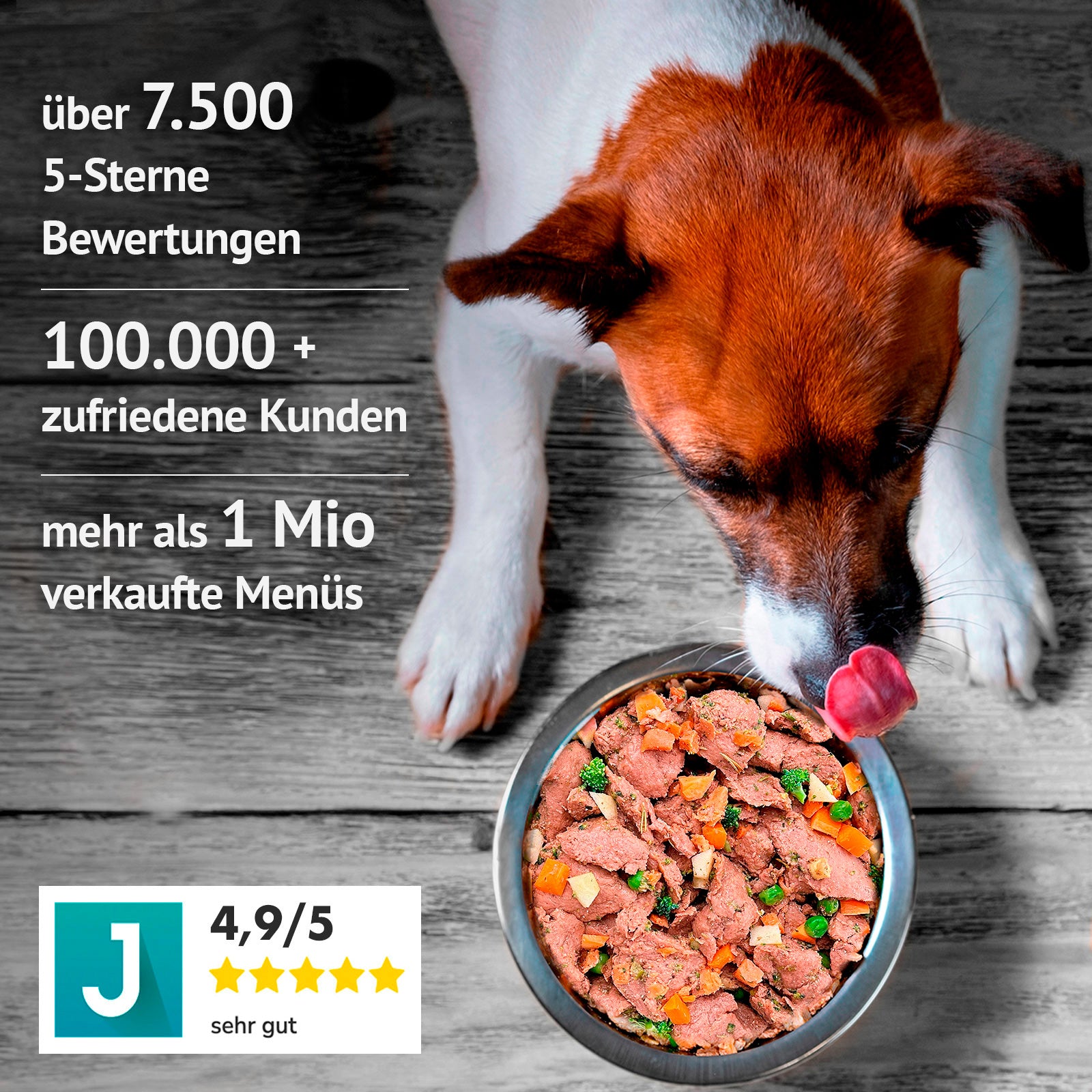 Lamm mit Süßkartoffel, Grünkohl und Apfel (im Glas)