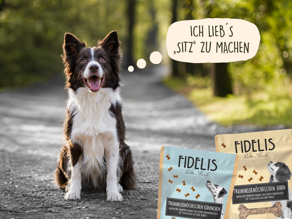 Belohnen & motivieren – mit gutem Gefühl