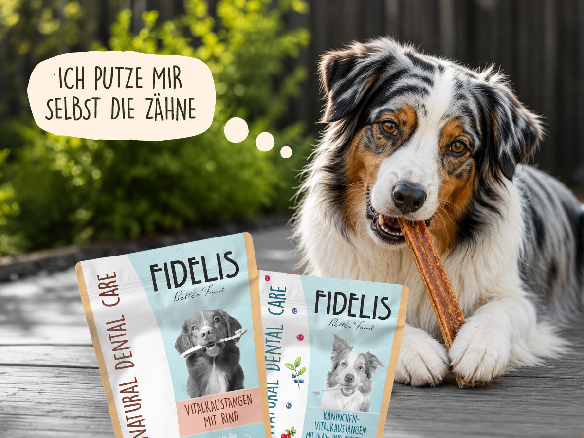 MEHR ALS EINE KAUSTANGE