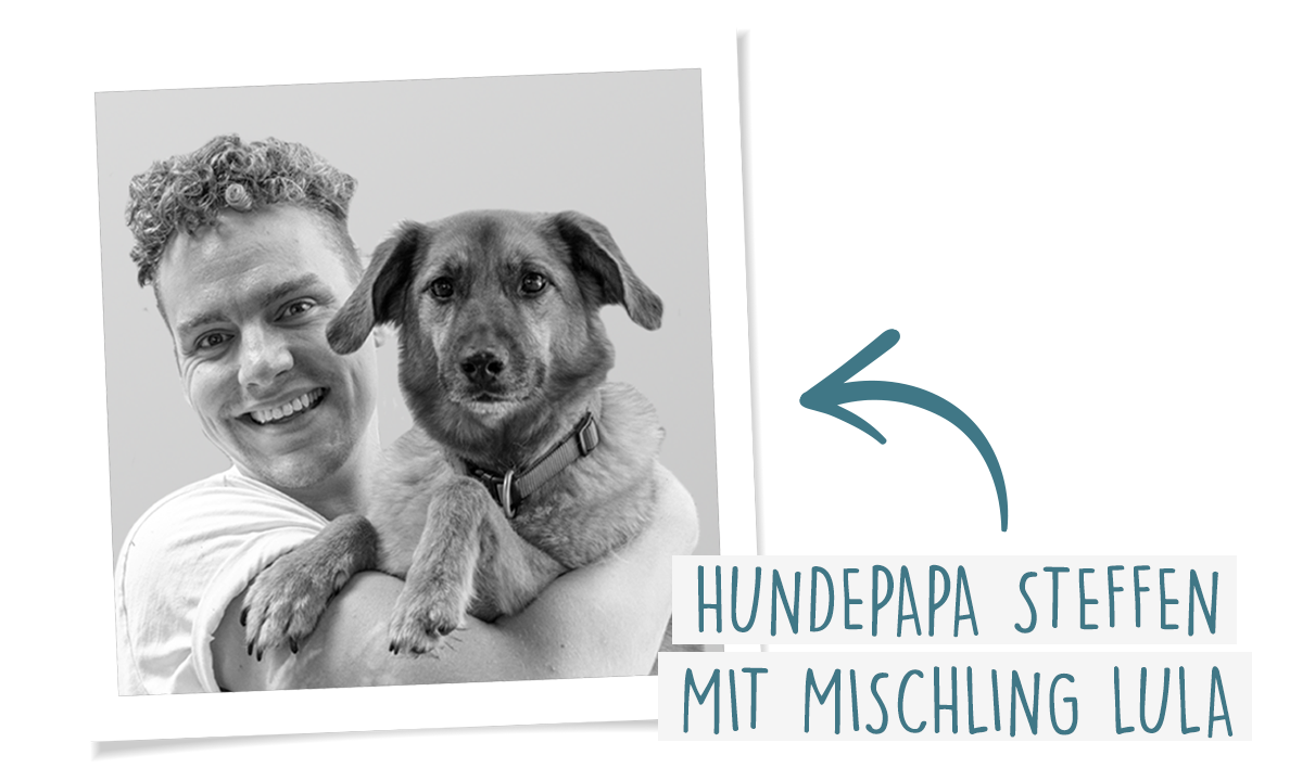 Besser als Dosenfutter